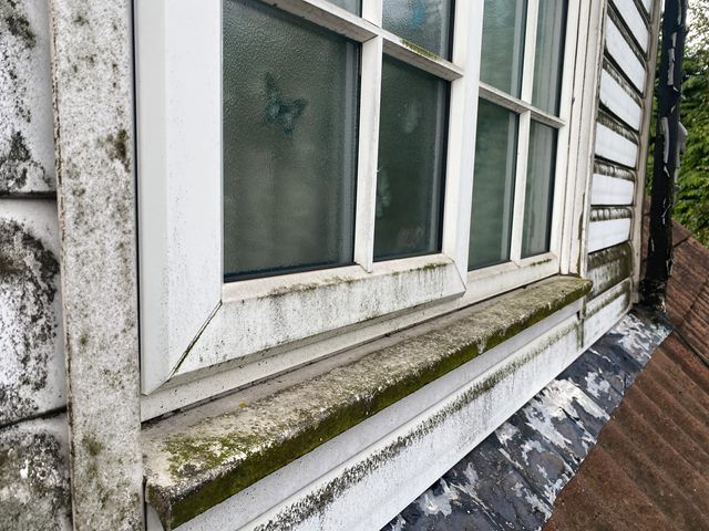 Fascia and Soffit Before Cleaning