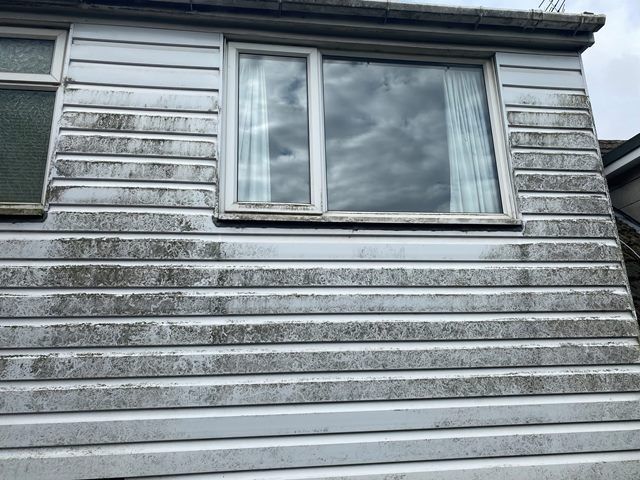 Fascia Before Clean